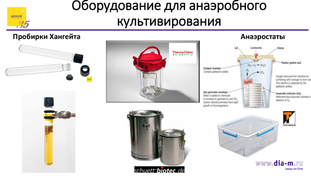 Все ушли, они остались – продолжение. Что кроме весов?