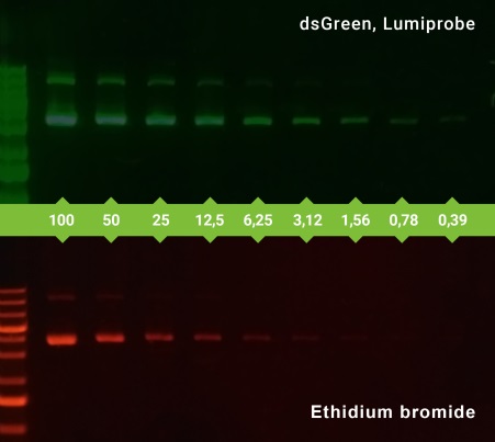 Краситель dsGreen раствор для прокраски гелей, 10000x, 1 мл, Lumiprobe