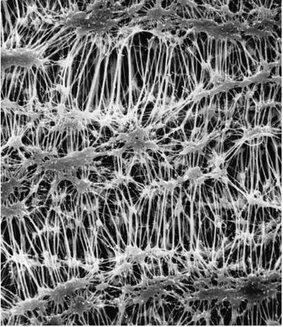 Мембранный фильтр, d пор 0,45 мкм, d мембраны 47 мм, политетрафторэтилен (PTFE) гидрофобный, 100 шт/уп