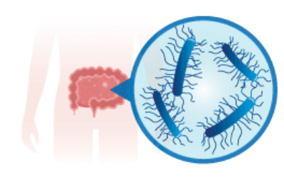 How does Interscience facilitate microbiota analysis How does Interscience facilitate microbiota analysis