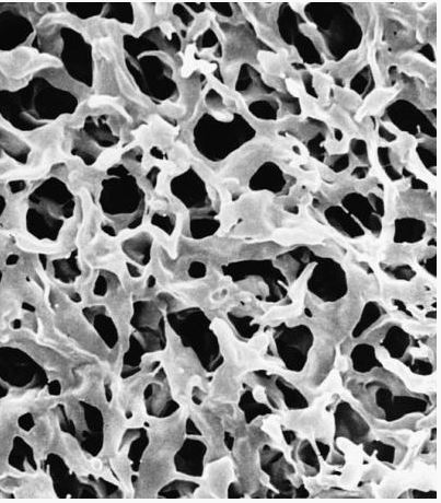 Мембрана, d пор 0,45 мкм, d мембраны 47 мм, поливинилиденфторид (PVDF), гидрофобная, не стерильная, 100 шт