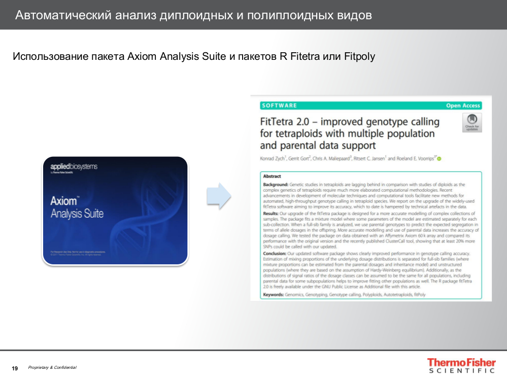 Автоматический анализ