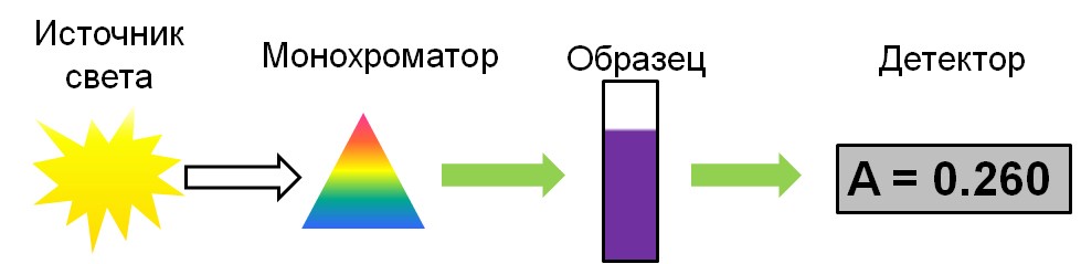 odnoluchevaya-skhema.jpg
