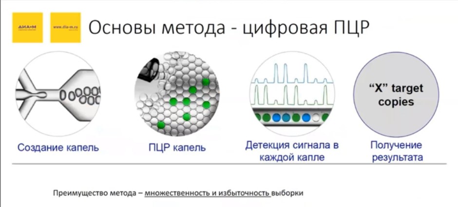 Основы метода - цифровая ПЦР
