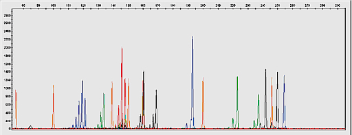 DNA-Sequencing_2.jpg