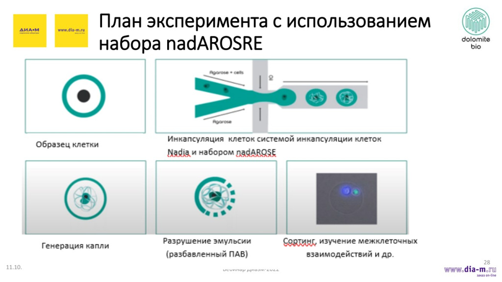 План эксперимента с использованием набора nadAROSRE