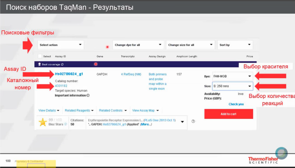 Результаты поиска на сайте