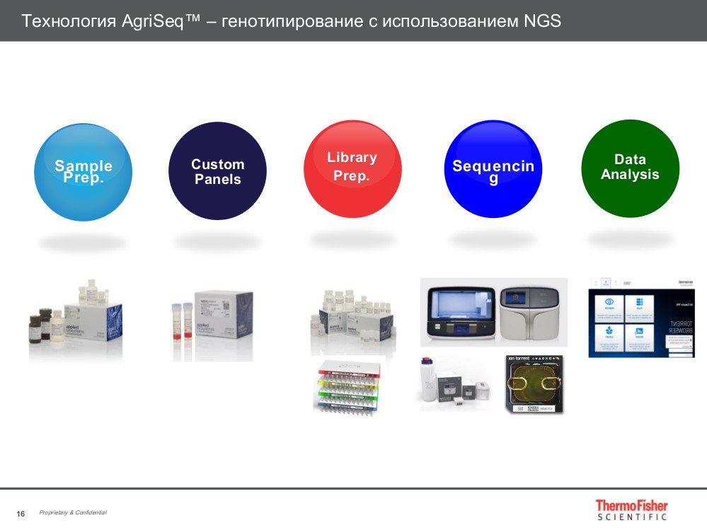 Технология AgriSeq - генотипирование с использованием NGS
