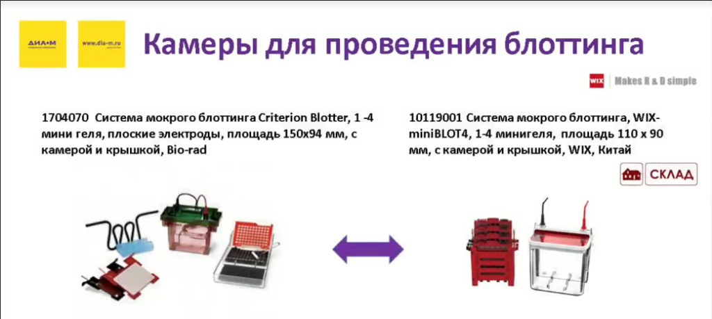 Камеры для проведения блоттинга