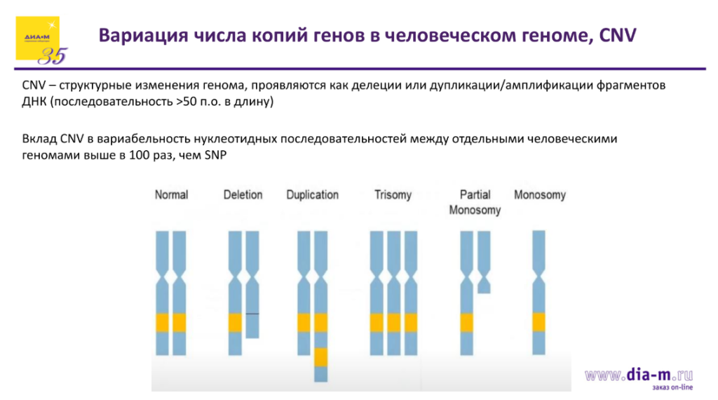 Вариации числа копий генов CNV