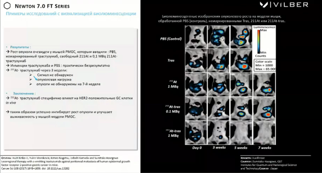 Пример исследования с визуализацией биолюминесценции