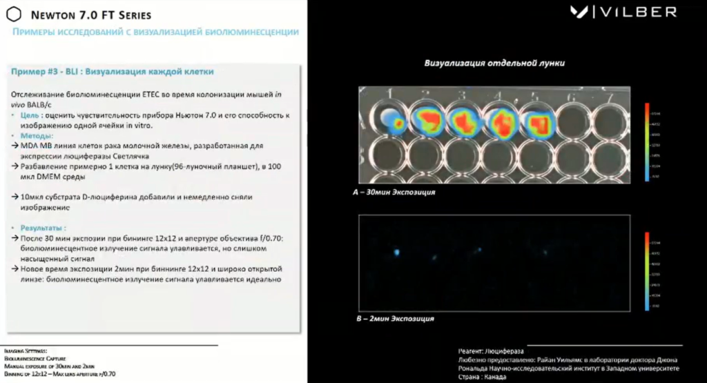 Пример исследования с визуализацией биолюминесценции