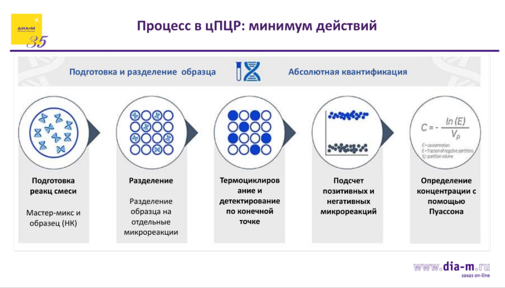 Процесс в цПЦР