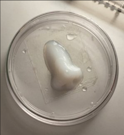 3d-bioprinter-2