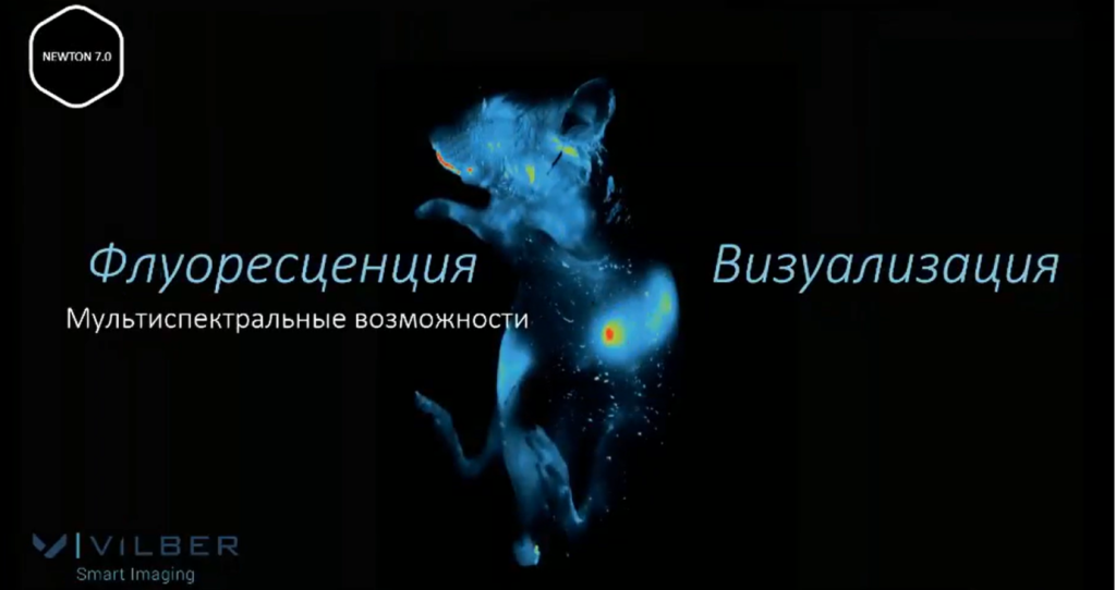 Флуоресценция