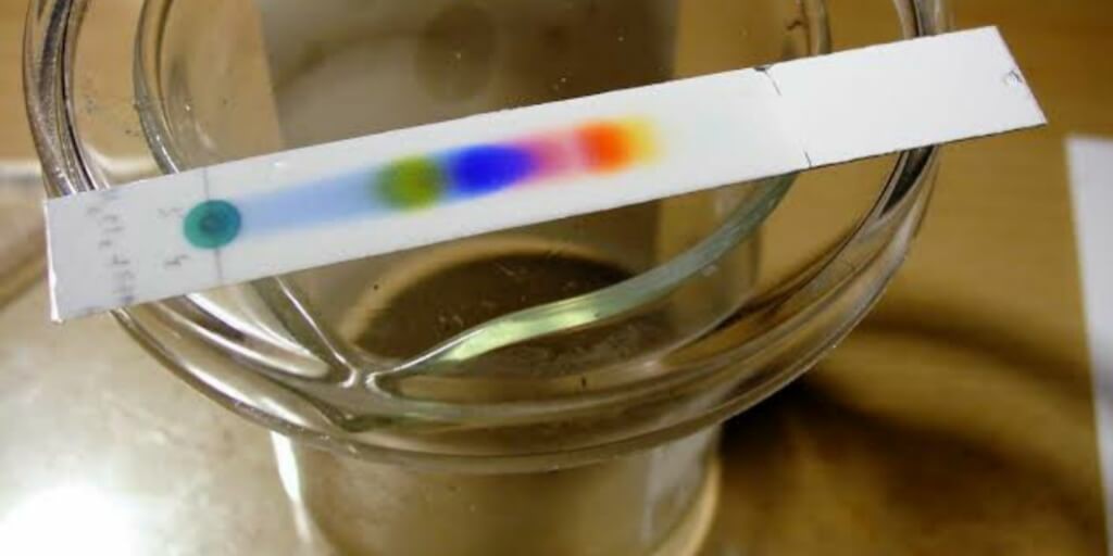 Капиллярный эффект в жизни