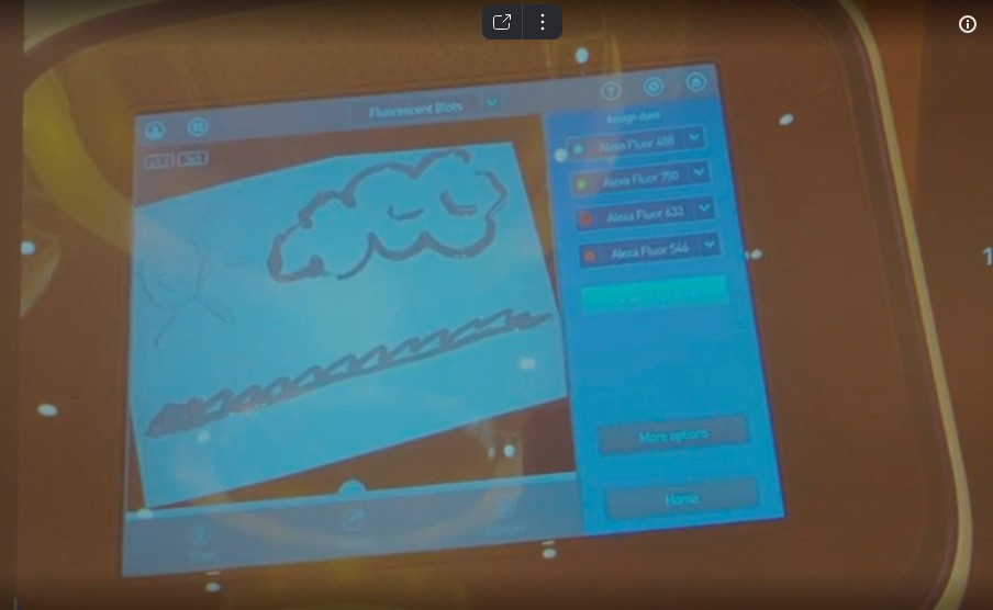 Рисунки на iBright