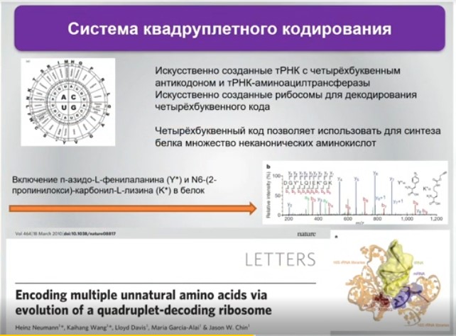 система квадруплетного кодирования