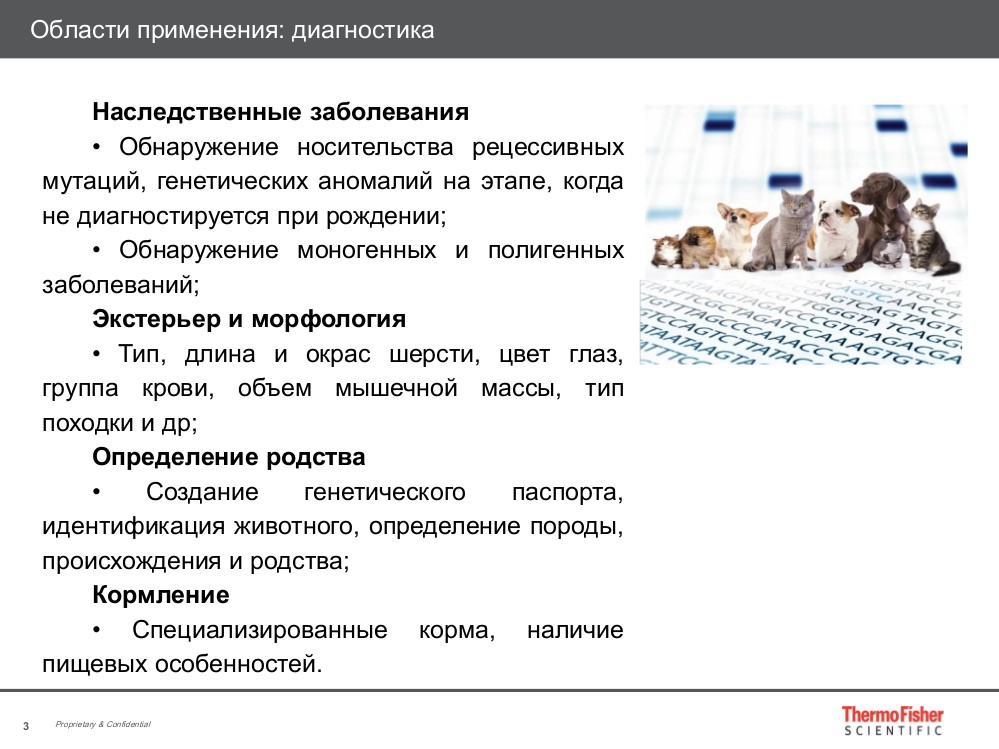 Области применения: диагностика