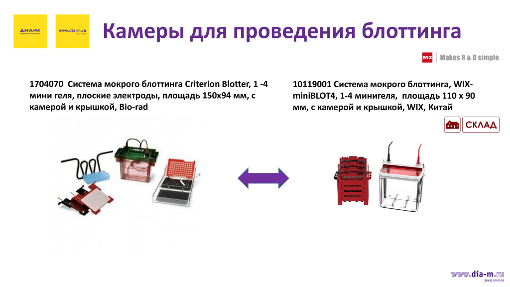 Камеры для проведения блоттинга