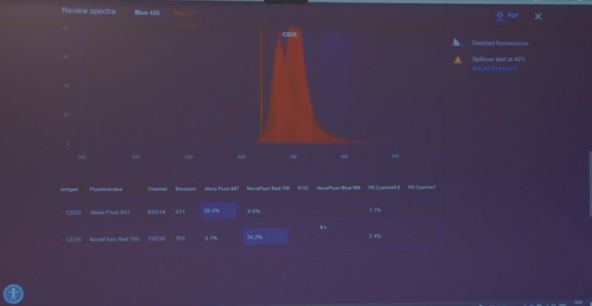 Результат на экране
