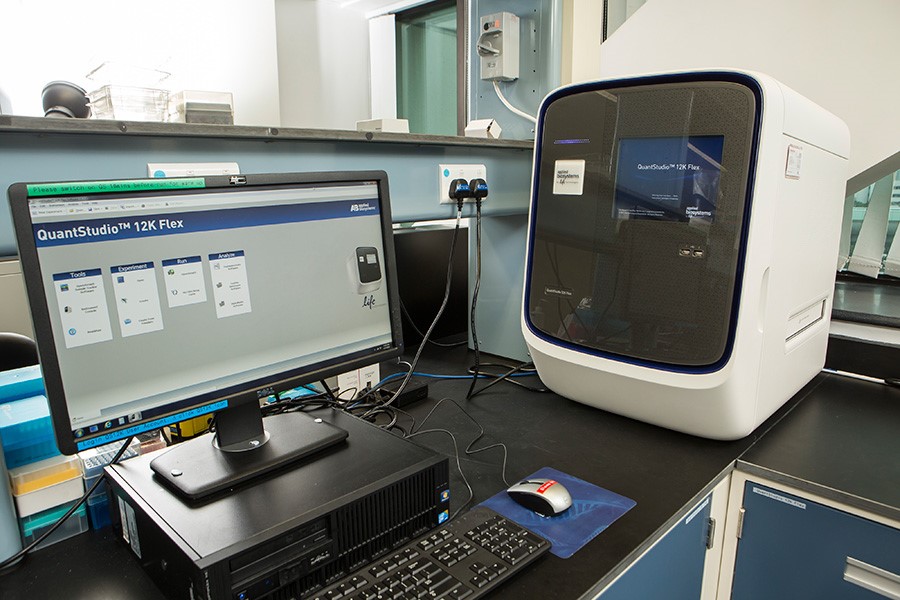 Большие и производительные: QuantStudio 6, 7, 12 и DX