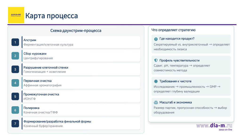 Как строится downstream-процесс