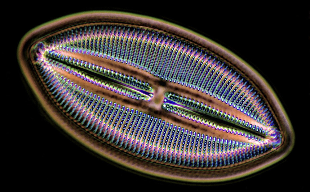 Покрытие хроматографических пластинок
