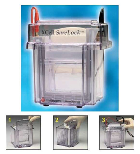 Электрофорезная вертикальная камера XCell SureLock Mini-Cell, 8х8 см, 2 мини-геля