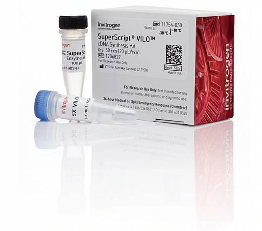 Набор SuperScript VILO cDNA Synthesis Kit