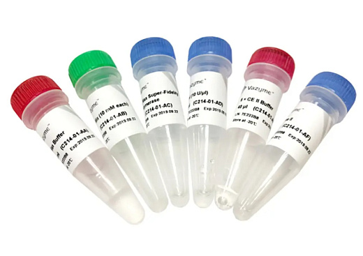 Набор для быстрого мутагенеза Mut Express II V2, Vazyme, Китай