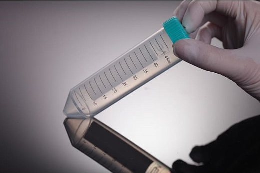 Пробирки 50 мл, ПП, резьбовые, конические, с крышкой, стерильные, без ДНКаз, РНКаз, пирогенов, 12000g, 25 шт./штат., 500 штат./кор., Nest, Китай