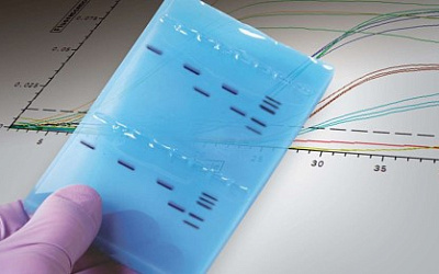 Новые лица хорошо известных методов: всё необходимое для ПЦР и электрофореза