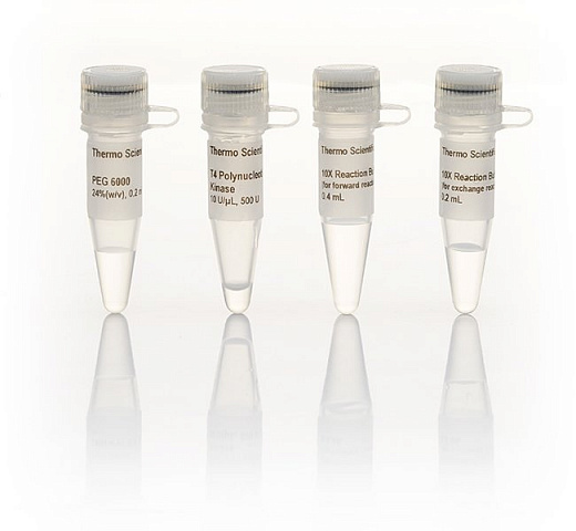Полинуклеотидкиназа T4, 10 ед/мкл