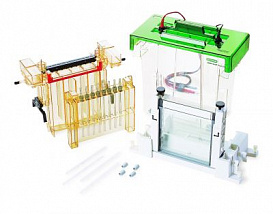 Электрофорезная вертикальная камера Protean II xi Cell, 20х20 см, 15 лунок, 1,0 мм, 1 гель, заливочный столик