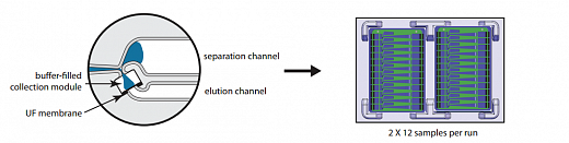 Электрофоретическая горизонтальная система для препаративного электрофореза ДНК/РНК/белков, до 24 образцов, Pippin HT Фото 4
