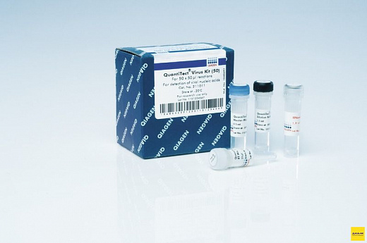 Набор QuantiTect Virus +ROX Vial Kit
