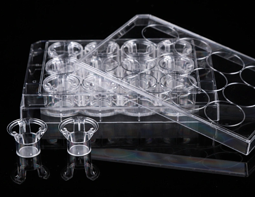 Планшеты культуральные 12-лун. со вставками и крышкой, Nest, Китай