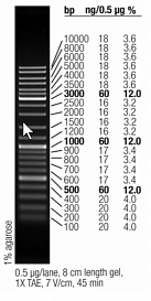 Маркер длин ДНК GeneRuler Mix, 15 фрагментов от 100 до 10000 п.н., 0,5 мкг/мкл