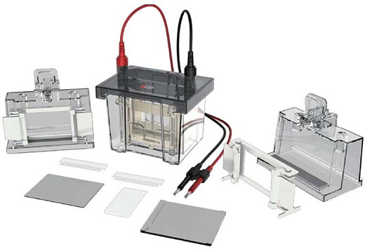 18901223 Электрофорезная вертикальная камера DL-Mini01, 1-2 геля, 8,3×7,3 см, Dlab