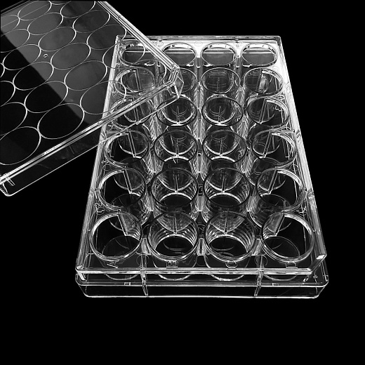 Крупный план планшета культурального, поверхность ТС