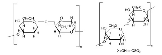 Агар для молекулярной микробиологии, CDH, Индия