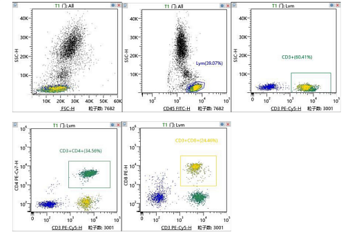 Набор для фенотипирования основных субпопульяции лимфоцитов, подсчёта абсолютного количество в крови, и определения уровня их активации  (Рисунок 1).