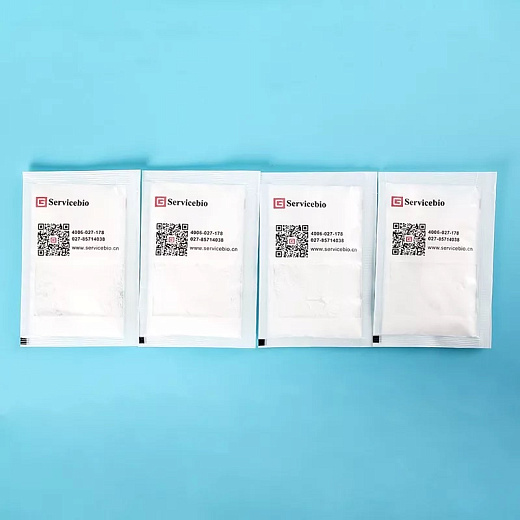 Буфер переноса для электрофореза (SDS-PAGE Transfer Buffer), порошок 17,6 г на 1 л, 1 шт., Servicebio, Китай