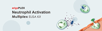 Набор ИФА arigoPLEX Human M1/M2 Cytokine (IL-6, TNF-α, IL-4, IL-10), 96 тестов, Arigobio, Китай