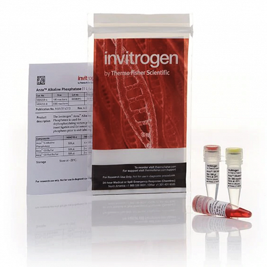 Фосфотаза щелочная, Anza