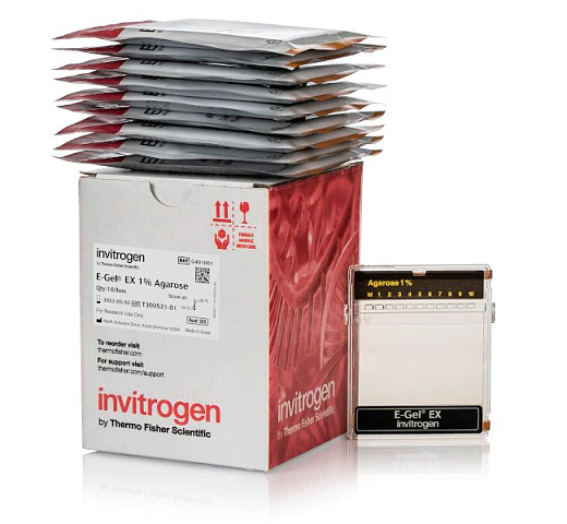 Гель агарозный готовый E-GEL EX, 1%, 10 шт./уп.