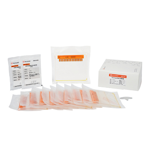 Гель для электрофореза белков полиакриламидный готовый Tris Swe Page Pre-Cast Gel, 15 лунок, 4-12%, Servicebio, Китай