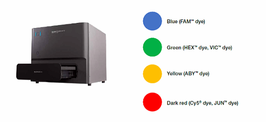 QuantStudio Absolute Q имеет возможность мультиплексирования до четырех мишеней в одной реакции