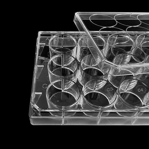 Крупный план планшета культурального, поверхность ТС